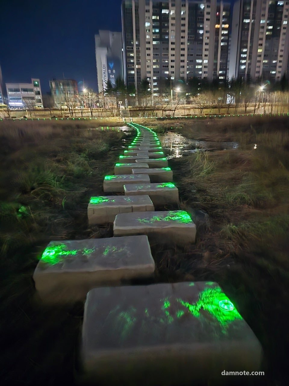 강릉 남대천 징검다리, 돌마다 초록 조명이 켜진 밤, 2026년 3월 14일 19시 08분 직접 촬영